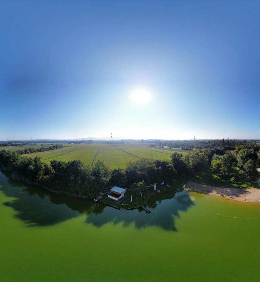 River View Near Frankfurt -- 3 Zimmer -- 4 Betten Und 1 Groesse Schlafcouch Hainburg Eksteriør billede